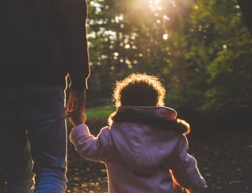 What Are Section 7 Expenses in BC Child Support?